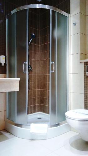 扎维尔切匝威尔斯酒店的一间带卫生间的浴室内的玻璃淋浴间