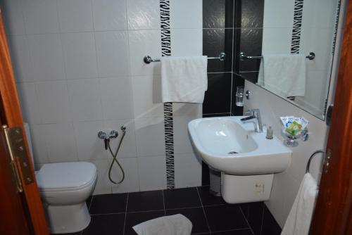 斯法克斯Pacha hotel的一间带水槽和卫生间的小浴室