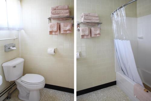 MachiasThe Bluebird Motel Maine的浴室设有卫生间和淋浴,两幅图片