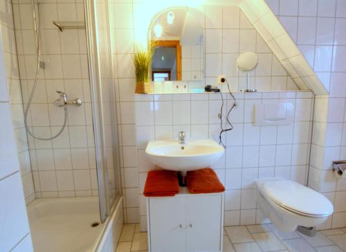施尔奇鲍肯斯斯提图赫恩酒店的一间带水槽、卫生间和淋浴的浴室