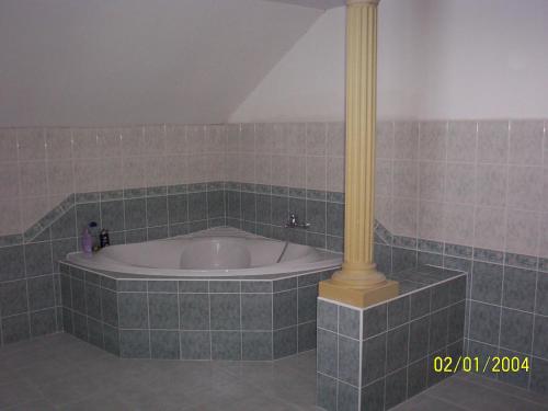AdolfoviceUbytování v Jeseníkách - Bělá pod Pradědem的浴室内设有一个浴缸及黄色杆