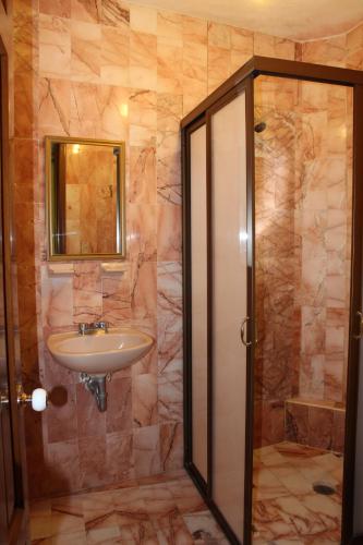 瓜纳华托Hotel Camino de Villaseca的一间带水槽、镜子和淋浴的浴室