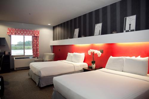 欧克莱尔欧克莱尔大都会酒店 的酒店客房设有两张床和红色的墙壁。