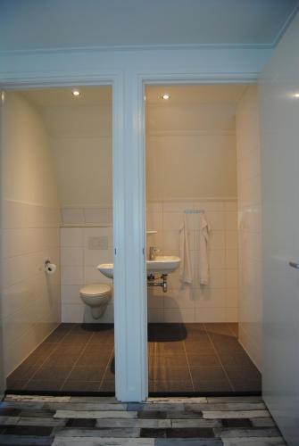东卡佩勒Dunopark Villa的一间带卫生间和水槽的浴室