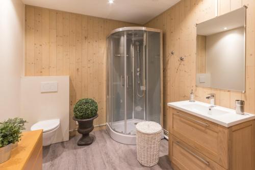 Tour-en-BessinLe Domaine de Prune的带淋浴、卫生间和盥洗盆的浴室