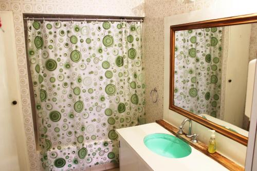 圣安东尼奥德阿雷科Areco hospedaje的一间带水槽和淋浴帘的浴室