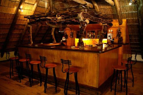 赫卢赫卢韦Bushbaby Lodge & Camping的一间酒吧,在房间柜台边摆放着凳子