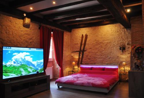 沙托鲁Chez Stephanie的一间卧室配有一张床和一台平面电视