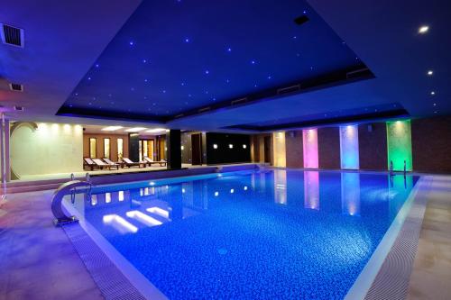 萨拉热窝萨拉热窝布里斯托尔诺富特酒店的一座带天花板的大型游泳池