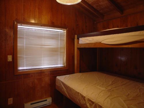 爱德怀Idyllwild Camping Resort Cabin的一间卧室设有两张双层床和一扇窗户。