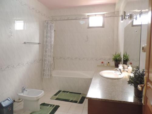 麦可乐Asimba Guest House的浴室配有盥洗盆、卫生间和浴缸。
