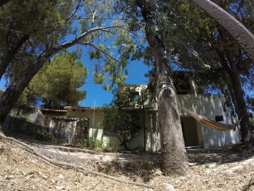 AnapaftíriaOlive Villas的挂在房子前面的树上的吊床