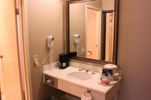 旧金山哥伦布酒店的一间带水槽和镜子的浴室