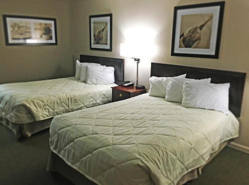 克兰顿Inn of Clanton的酒店客房,设有两张床和一盏灯
