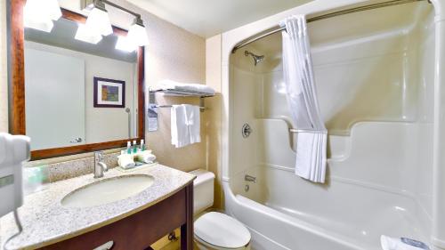 圣让上黎塞留Holiday Inn Express St. Jean Sur Richelieu, an IHG Hotel的一间带水槽、卫生间和淋浴的浴室