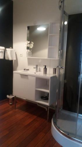 康布雷Apt 5 du Temple HyperCentre & Parking的浴室配有白色水槽和淋浴。