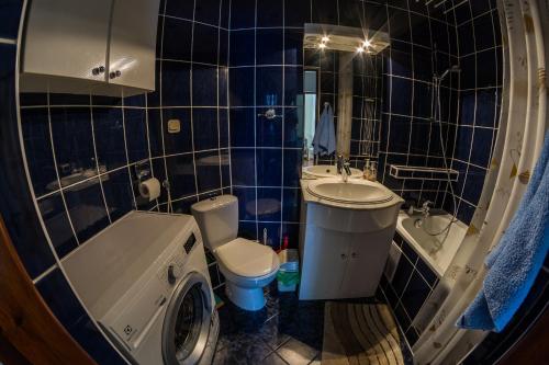 库多瓦-兹德鲁伊Apartament Zdrojowa 45的蓝色瓷砖浴室设有卫生间和水槽