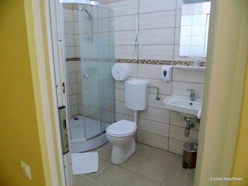 贝凯什乔包Eszter Apartman的浴室配有卫生间、淋浴和盥洗盆。
