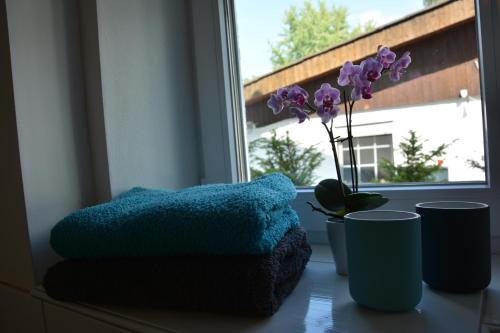 CaldernZur Lahnbrücke的窗台,带蓝色枕头和紫色植物