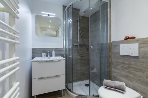 昂蒂布Cosy Home的带淋浴、卫生间和盥洗盆的浴室