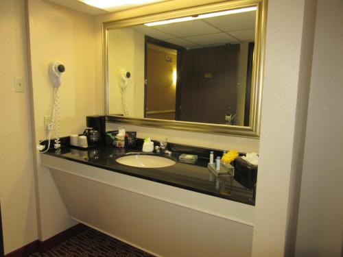 欧文DFW机场中庭套房酒店的一间带水槽和大镜子的浴室