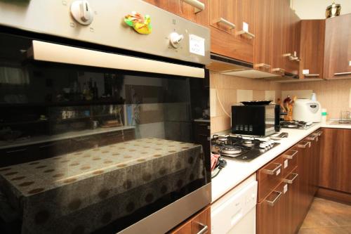 百乐·奥拉内斯蒂Pensiunea Eden的厨房配有炉灶和烤箱。