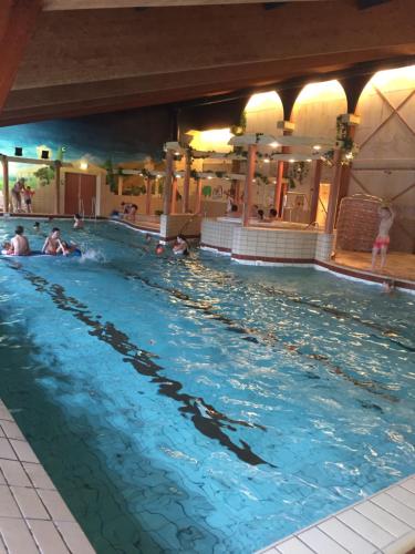 海牙Haags Duinhuis - familyfriendly holidayhome的一群人在游泳池游泳