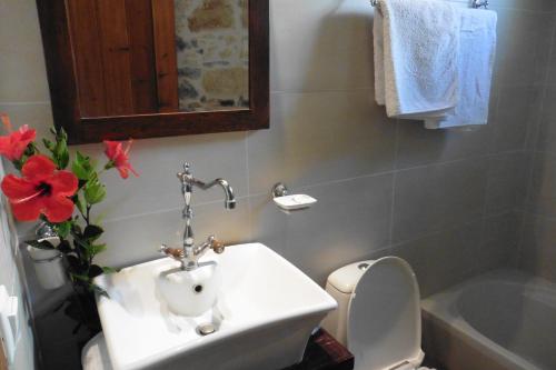 AnópolisValley View House的一间带水槽、卫生间和花卉的浴室
