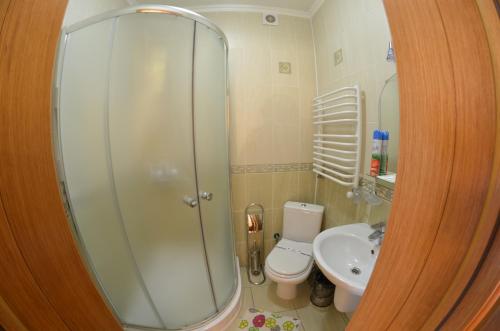 米库利钦Sribni Rosy的带淋浴、卫生间和盥洗盆的浴室