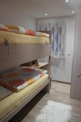 里约·迪·普斯特里亚Appartement Fischnaller的一间设有两张双层床和地毯的房间