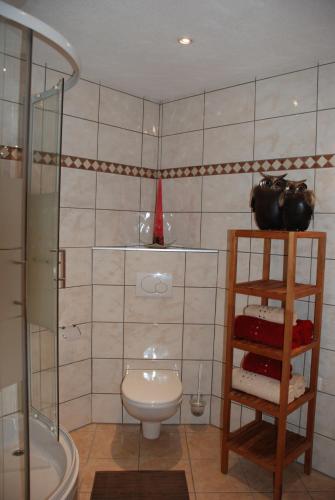 HüttschlagFerienwohnung Kendler的浴室配有卫生间、盥洗盆和淋浴。