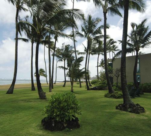 卡帕阿珊瑚礁酒店的海滩附近的草坪上一群棕榈树