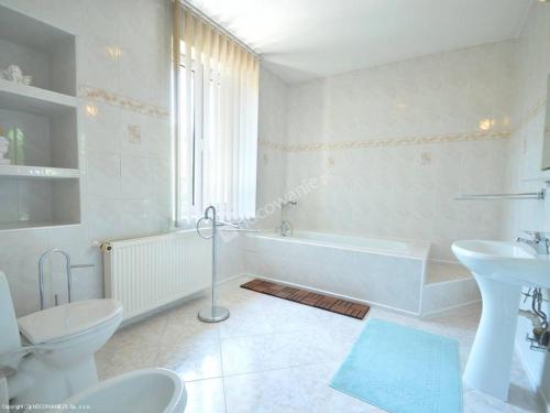 斯维诺乌伊希切Moniuszki24的带浴缸、卫生间和盥洗盆的浴室