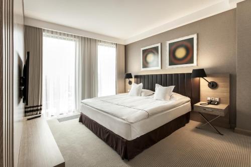伊拉华迪菲格兰酒店的一间卧室设有一张大床和一个大窗户