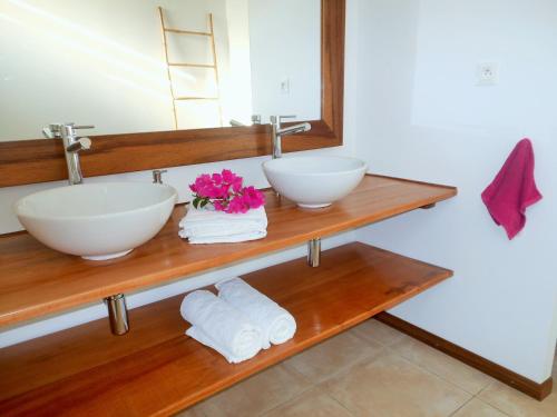 莱昂斯-达赫雷Le Pic De La Buse的浴室设有2个水槽、毛巾和镜子