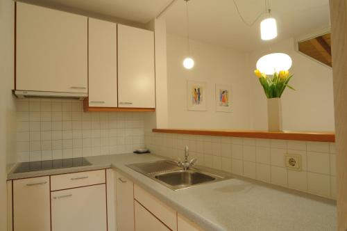 圣坎迪朵Apartment Nidus的厨房配有水槽和花瓶
