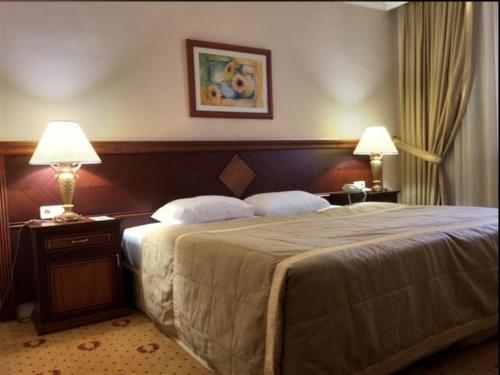 安卡拉DOGA RESIDENCE HOTEL Ankara的酒店客房,配有一张床和两盏灯