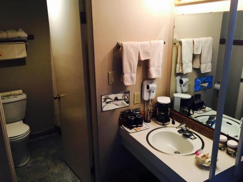 布雷默顿Flagship Inn的一间带水槽和镜子的浴室