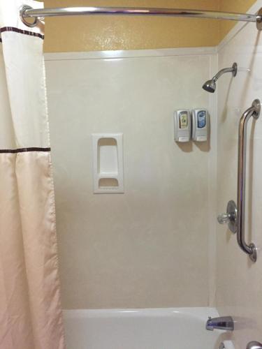 PearsallRoyal Inn Pearsall的带淋浴和浴帘的浴室