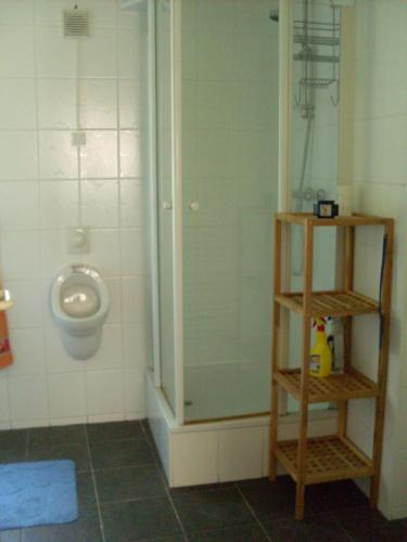 阿恩施塔特Waldblick的一间带卫生间、淋浴和小便室的浴室
