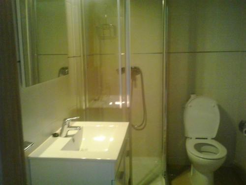 巴雷罗斯Apartamentos Alejandra的一间带水槽、卫生间和淋浴的浴室