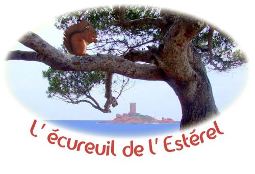 圣拉斐尔松鼠爱斯特尔住宿加早餐旅馆的狮子坐在树上的照片