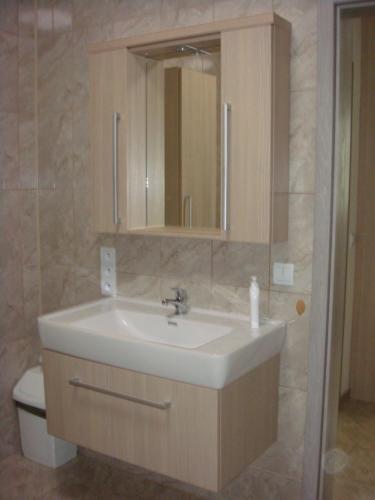 胡斯托佩切库尔德约夫公寓的一间带水槽和卫生间的浴室
