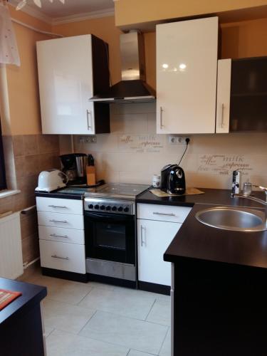 杰尔City Centre Apartment的厨房配有白色橱柜、水槽和炉灶。