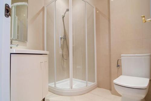 内尔哈Central Nerja的带淋浴和卫生间的白色浴室