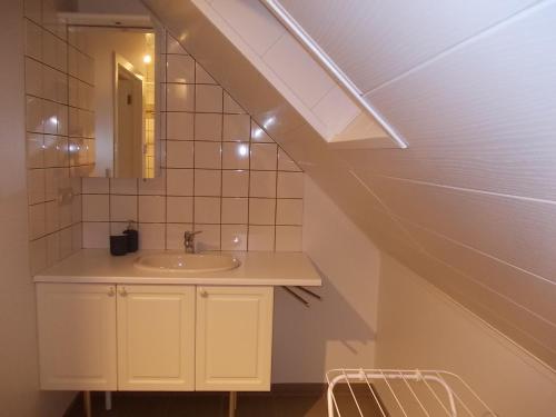 阿伦东克Het Zolderhuis的一间带水槽和镜子的浴室