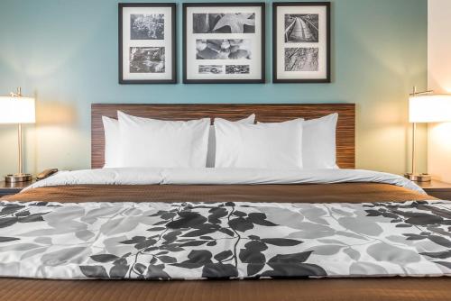 坎伯兰坎伯兰司丽普酒店的一张带黑白棉被的床和两盏灯