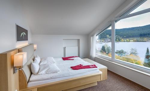 蒂蒂湖-新城BRUGGER' S Hotelpark Am Titisee的一间卧室设有一张床和一个大窗户