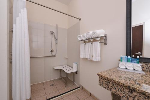 华盛顿华盛顿麦道兰智选假日酒店的带淋浴和盥洗盆的浴室