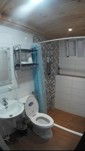 满洲乡一舟浪馆的一间带卫生间和水槽的浴室